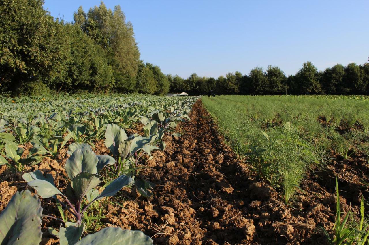 Farm stay Corte Bertesina